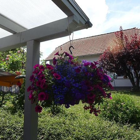 Ferienwohnung Relax Ilsenburg Exterior foto