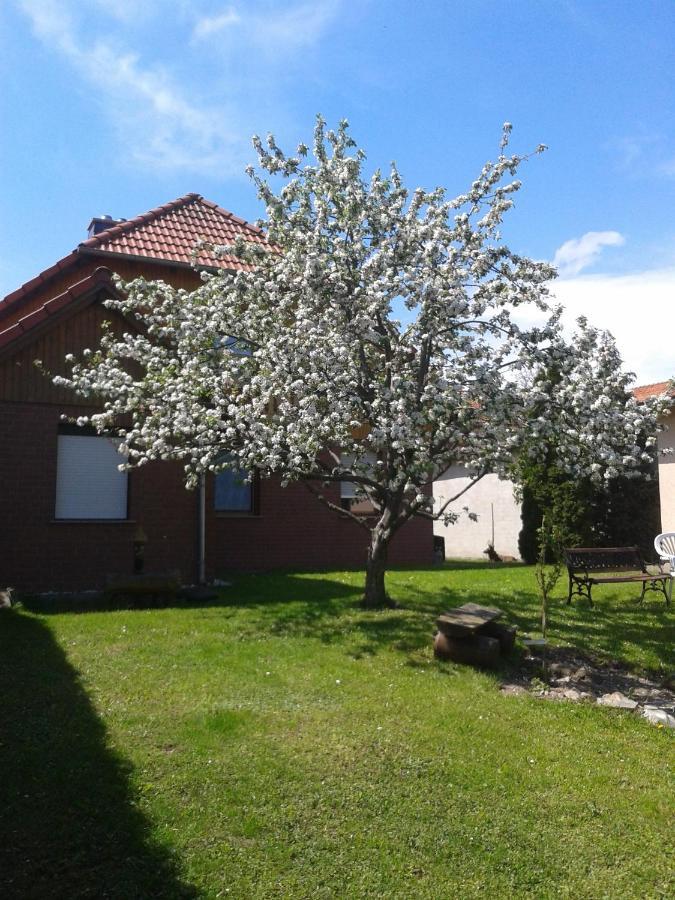 Ferienwohnung Relax Ilsenburg Exterior foto