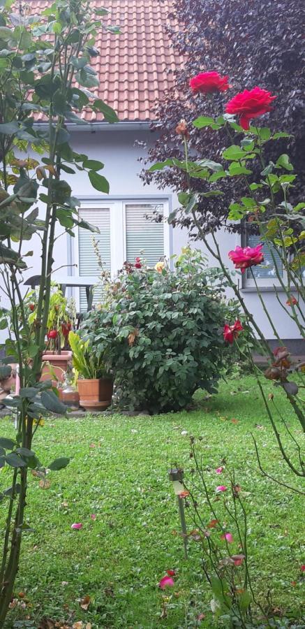 Ferienwohnung Relax Ilsenburg Exterior foto